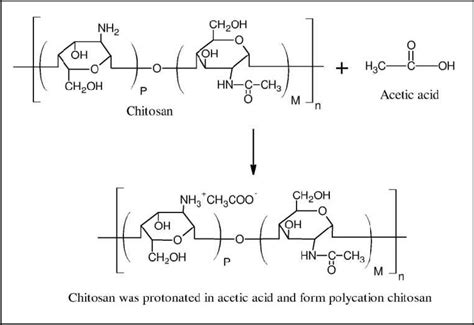  Acetic Acid: ปฏิกิริยาเอติลและการสร้างฟิล์มยึดเกาะ!