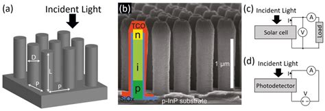   Junction Semiconductor Nanowires: อนาคตของพลังงานแสงอาทิตย์ที่สว่างไสว!